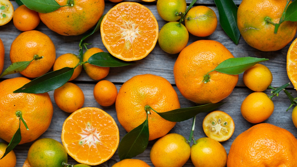 Si parla di wellness molecolare su Notizie Nazionali